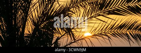 Tropical sunset on the ocean with palm tree silhouette, travel panoramic web banner Stock Photo