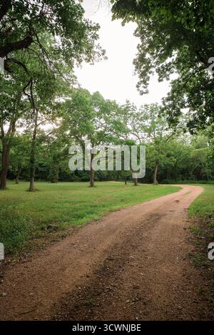 Curved dirt path through grassy clearing surrounded by tall trees Stock Photo