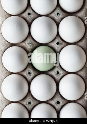 Top view of carton of white eggs with one blue egg in middle. Stock Photo