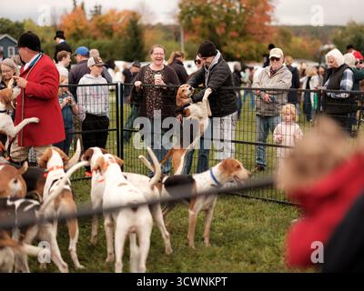 Members of the Toronto and North York Hunt Club, gather for their annual Thanksgiving Parade on October 11, 2025 in Creemore, Ontario, Canada. Stock Photo