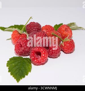 Several ripe raspberries with green leaves lying on a white background, natural and fresh summer berries for healthy food and organic nutrition Stock Photo