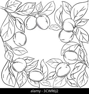 Plum Branch with Fruits Outline Frame. Stock Vector