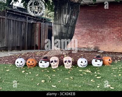 Pumpkins and Skulls Halloween Yard Display – Festive Outdoor Scene Stock Photo