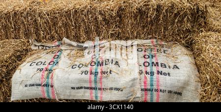Colombian coffee sack resting on straw bales, marked “Product of Colombia 70kg Net,” with red and green stripes, rustic agricultural display. Stock Photo
