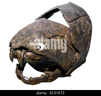 Dunkleosteus skull cast (replica), Late Devonian (358–382 million years ago), armored placoderm fish and apex predator with bladed jaw plates. Stock Photo
