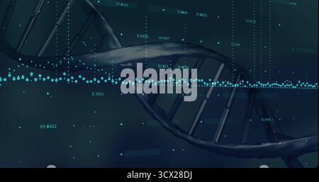 Displaying DNA double helix twisting in digital UI, with teal circles and labels on grid lines Stock Photo