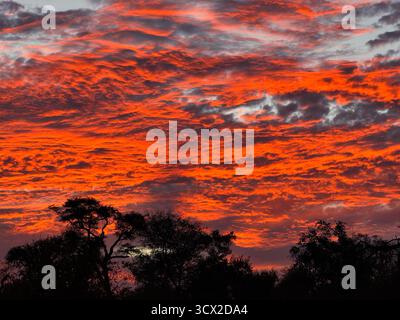 Landscape of a breathtaking sunset in the Greater Kruger National Park Stock Photo