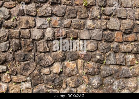 Close-up view of the ancient stone wall at Vasai Fort, showcasing old masonry and historic texture. Detailed texture of Vasai Fort’s stone wall. Stock Photo