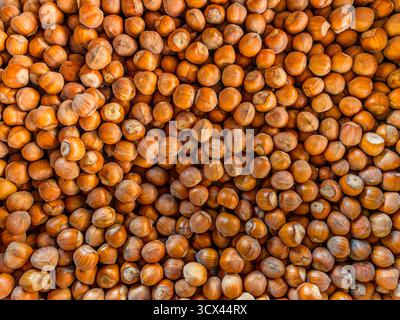 Hazelnuts arranged as a full-size background, backgrounds with textures of hazelnuts in their shells Stock Photo