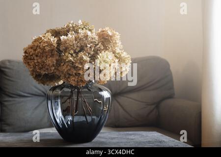 Beautiful bouquet of dry pastel hydrangeas in glass vase at home interior near gray sofa in living room. Close up. Stock Photo