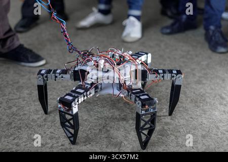 Legged robot with visible servos and wiring demonstrated by students in a STEM workshop, ideal for education and innovation themes Stock Photo