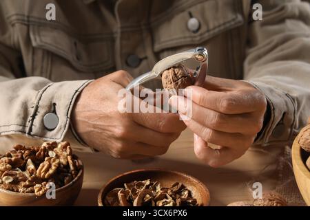 Woman cracking walnuts with nutcracker on wooden table Stock Photo