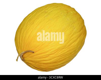 Yellow honeydew melon isolated on white background Stock Photo