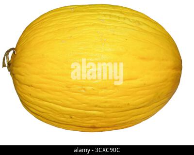Yellow honeydew melon isolated on white background Stock Photo