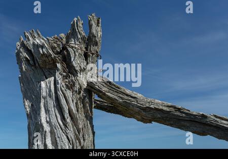 Weathered wooden fence post with a rough, textured surface against a clear blue sky. The post is held together with rusted wire. Stock Photo