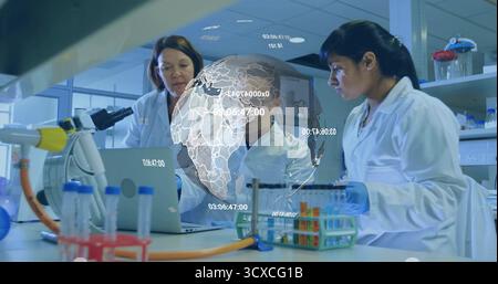 Working scientists in lab coats pipetting liquids in lab with tube rack and digital globe overlay Stock Photo