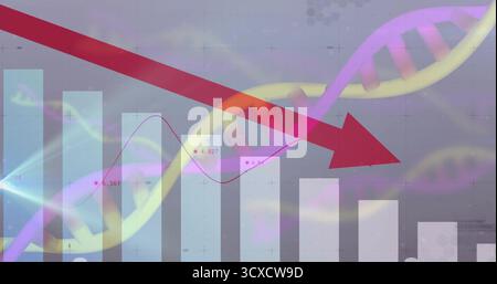 Displaying descending white bars, red arrow on abstract hex grid with DNA helix and line graph Stock Photo