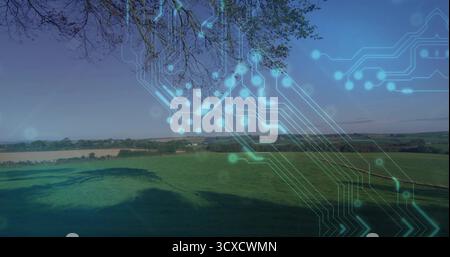 Displaying pasture on farmland under blue sky showing translucent circuit overlay and tree branches Stock Photo