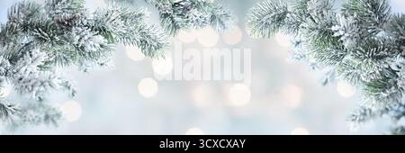 Snow-Covered Fir Tree Branches with Glowing Background Lights Stock Photo