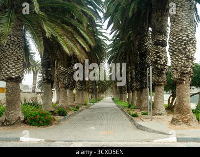 The famous Swakopmund Lighthouse and Jetty Pier on Namibia’s Atlantic coast   with a scenic view of the town’s historic seaside landmark and palms Stock Photo