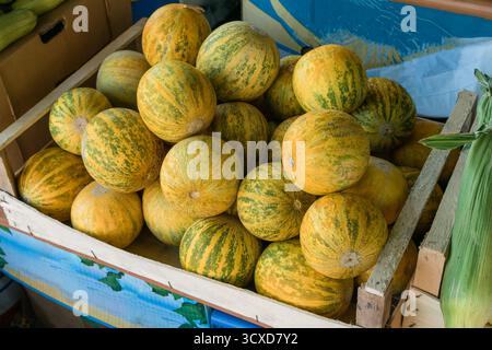 Freshly harvested round melons arranged neatly in a rustic wooden crate at a vibrant outdoor market, ready to be sold to customers Stock Photo
