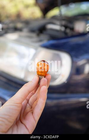 Hand holding an orange car light bulb for vehicle maintenance Stock Photo
