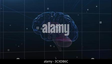 Floating 3D brain displaying highlighted cerebellum and brainstem in lab UI, glowing data nodes Stock Photo