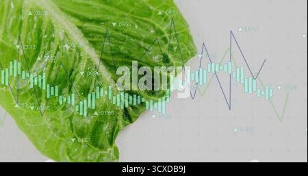 Displaying lettuce leaf showing droplets in studio with overlaying candlestick bars and line graphs Stock Photo