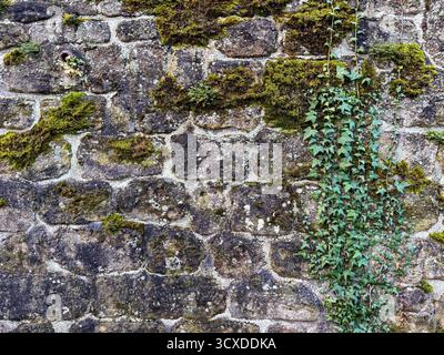 Mossy Old Stone Wall Texture for Rustic and Natural Backgrounds Stock Photo
