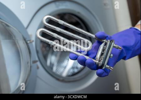 Person wearing purple cleaning gloves holds a used washing machine heating element covered with limescale near the open door, demonstrating part repla Stock Photo