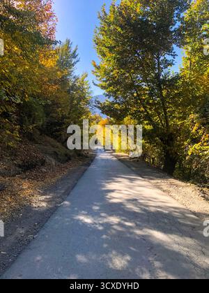 A peaceful road surrounded by vibrant autumn foliage and towering mountains in the heart of the Hindu Kush Stock Photo