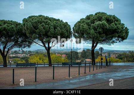 A street in Carcassonne on a rainy day. Benches nestled beneath dense trees, with street lamps standing between them. Stock Photo