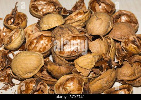 A rich harvest of walnuts: whole nuts in a bright vase, scattered amber kernels on a plate, and a pile of empty shells. Stock Photo