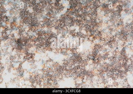 Textured wall surface covered in mold, displaying various shades and patterns, illustrating the effects of dampness and neglect in indoor spaces Stock Photo