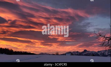 Winter dawn across the sky with clouds like flames of fire, snow-covered fields, and the Swiss Alps in the background Stock Photo