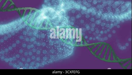 Twisting green DNA double helix flowing across purple backdrop, with glowing blue particles Stock Photo