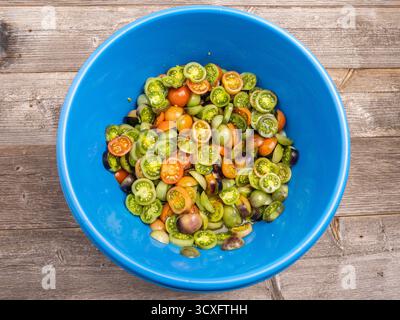 Sliced ​​cherry tomatoes of bright colors - fresh and juicy in a blue bowl, top view. Stock Photo