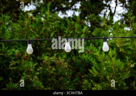 Three hanging light bulbs on a wire against a green leafy background Stock Photo