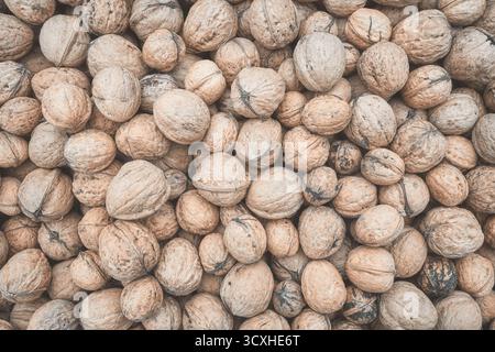 Close up photo walnuts, selective focus. Stock Photo