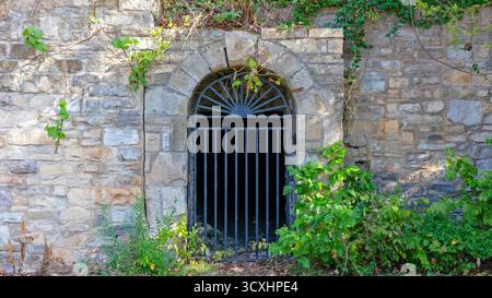 Background texture of a stone wall with ivy and an iron gate Stock Photo