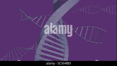 Displaying central 3D DNA helix twisting against purple backdrop, with smaller helix outlines Stock Photo