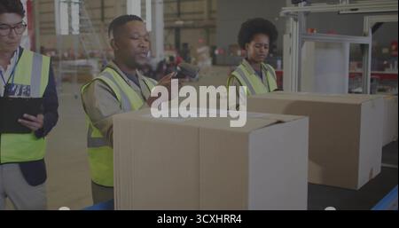 Scanning box on warehouse conveyor belt using scanner with coworker in hi-vis checking clipboard Stock Photo