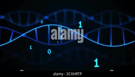 Displaying digital DNA double helix in abstract art scene, with binary digits and particle effects Stock Photo