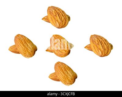 Top view set of almond nuts in stacks is isolated on white background with clipping path. Stock Photo