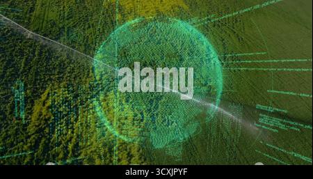 Hovering holographic data sphere above high-altitude forest canopy, with streaming computer code Stock Photo