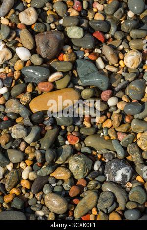 Smooth beach pebbles of various shapes and sizes arranged closely together. The stones display a diverse range of colors. Stock Photo