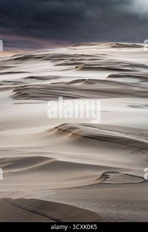 Wind-sculpted sand dunes form abstract patterns in this landscape. The smooth contours and undulating ridges create an intricate texture. Stock Photo