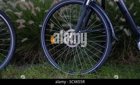 Close-up of a bicycle front wheel with disc brake standing on grass near ornamental plants. The natural background and realistic light highlight eco-f Stock Photo