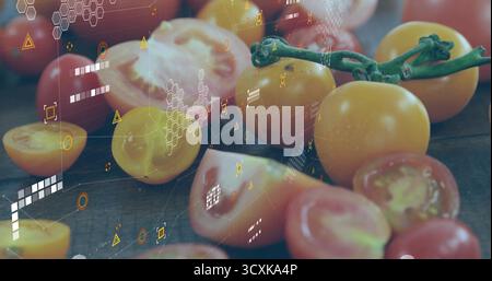 Displaying yellow cherry tomato cluster hanging on green vine at lab bench, with digital overlay Stock Photo