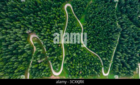 Drone shot of winding mountain road through pine forest covered in light fog Stock Photo